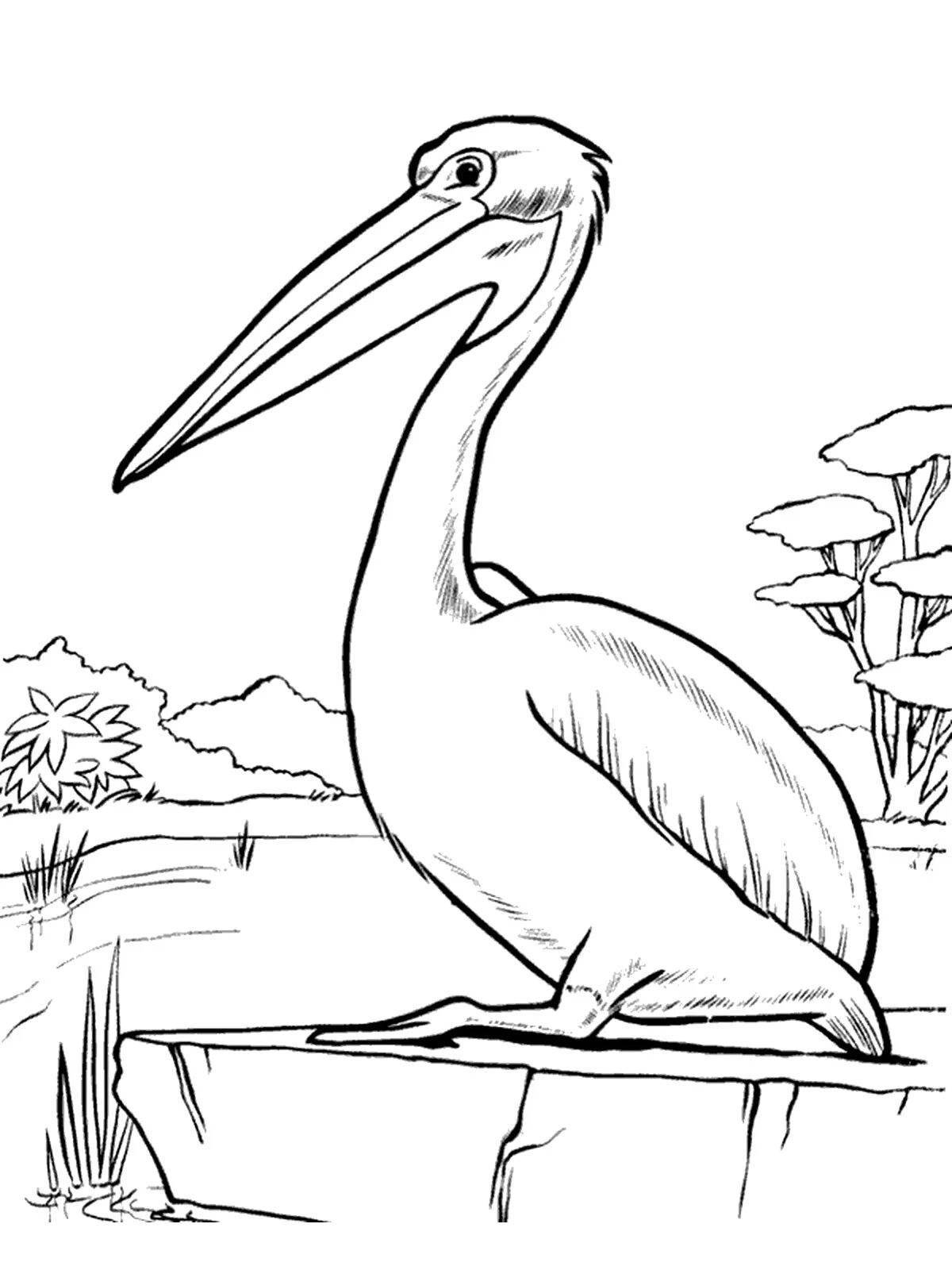 Удивительная страница раскраски пеликан для детей