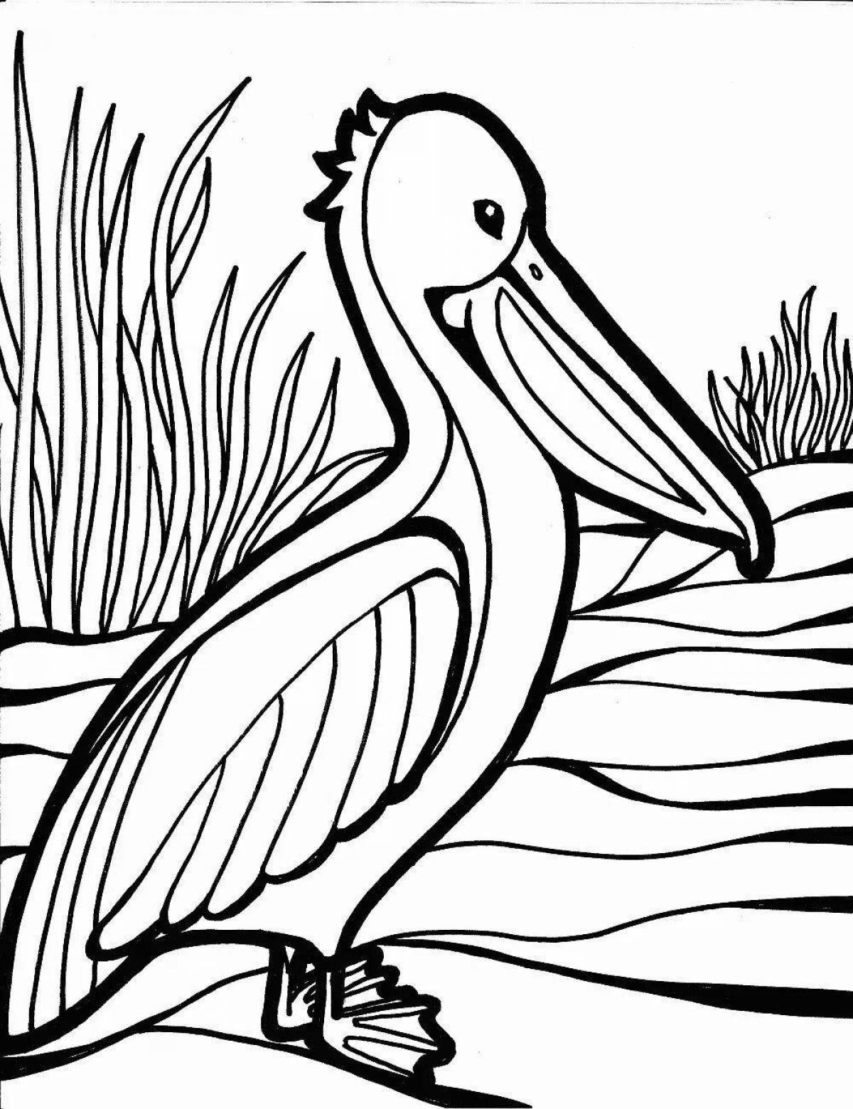 Incredible pelican coloring book for kids