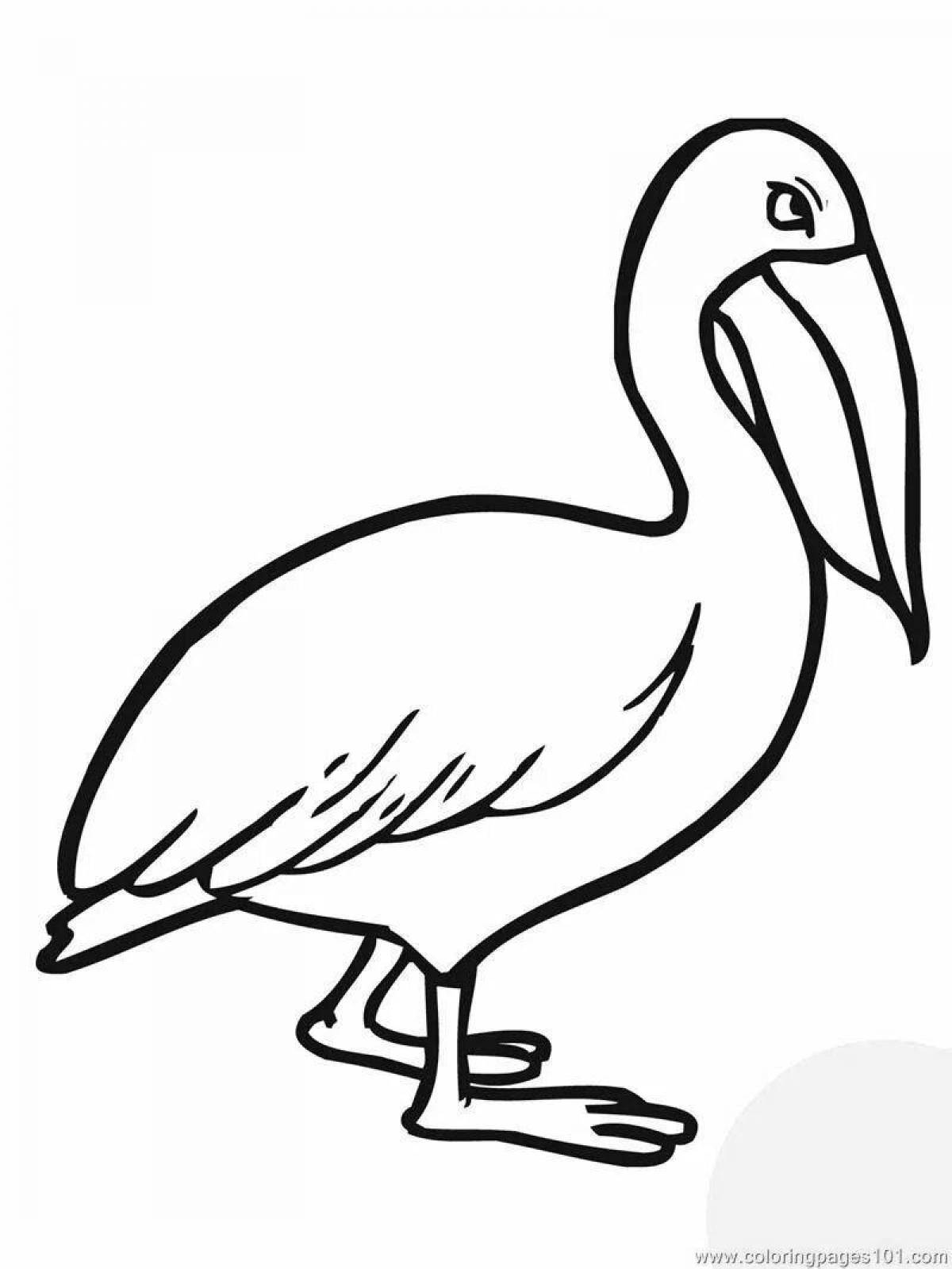 Эффектная раскраска пеликан для малышей