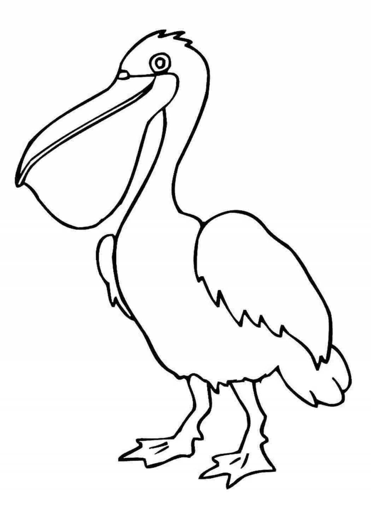 Изысканная раскраска пеликан для детей