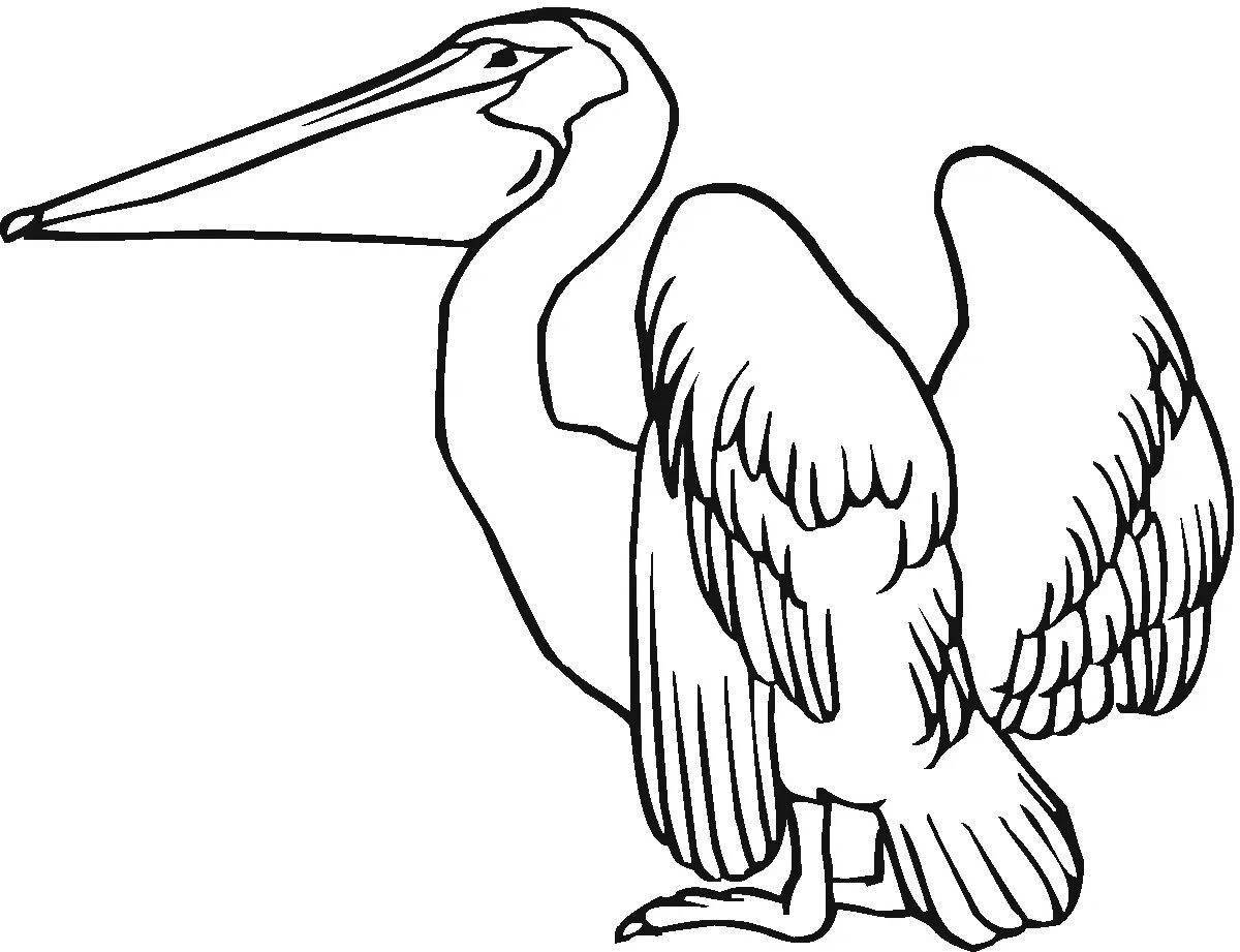 Безупречный пеликан раскраски для учащихся