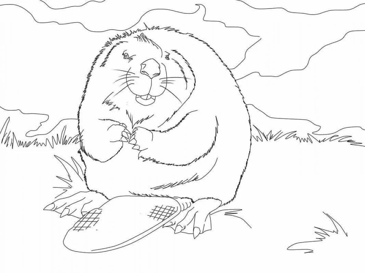 Милая раскраска бобра для детей