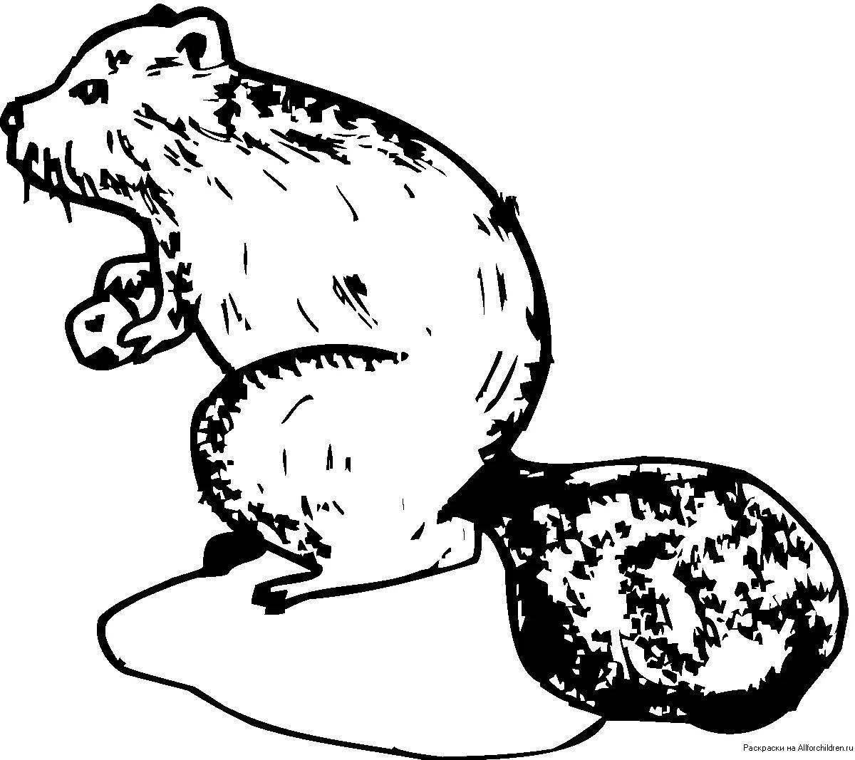 Веселый бобер раскраски для детей
