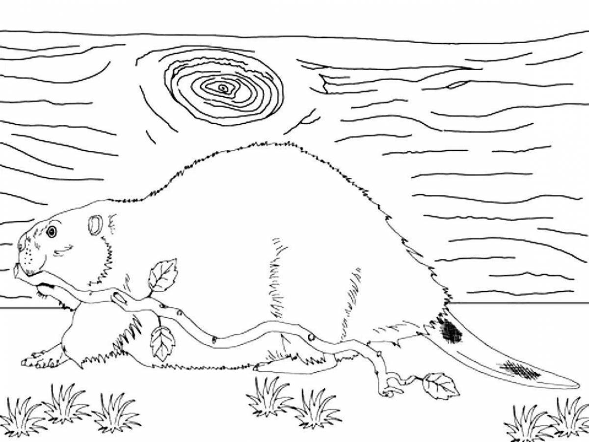 Bright beaver coloring pages for kids
