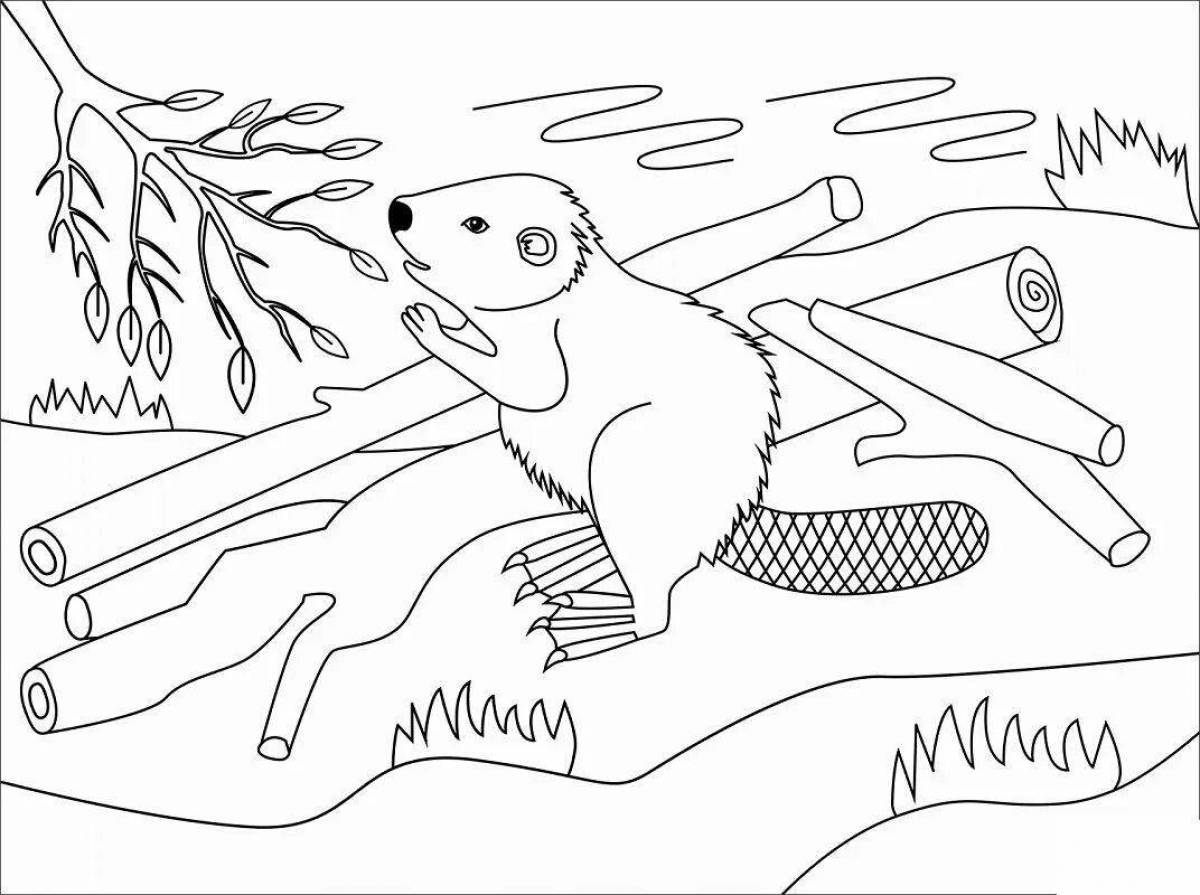 Fabulous beaver coloring pages for kids