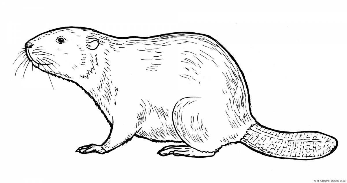 Outstanding beaver coloring page for kids