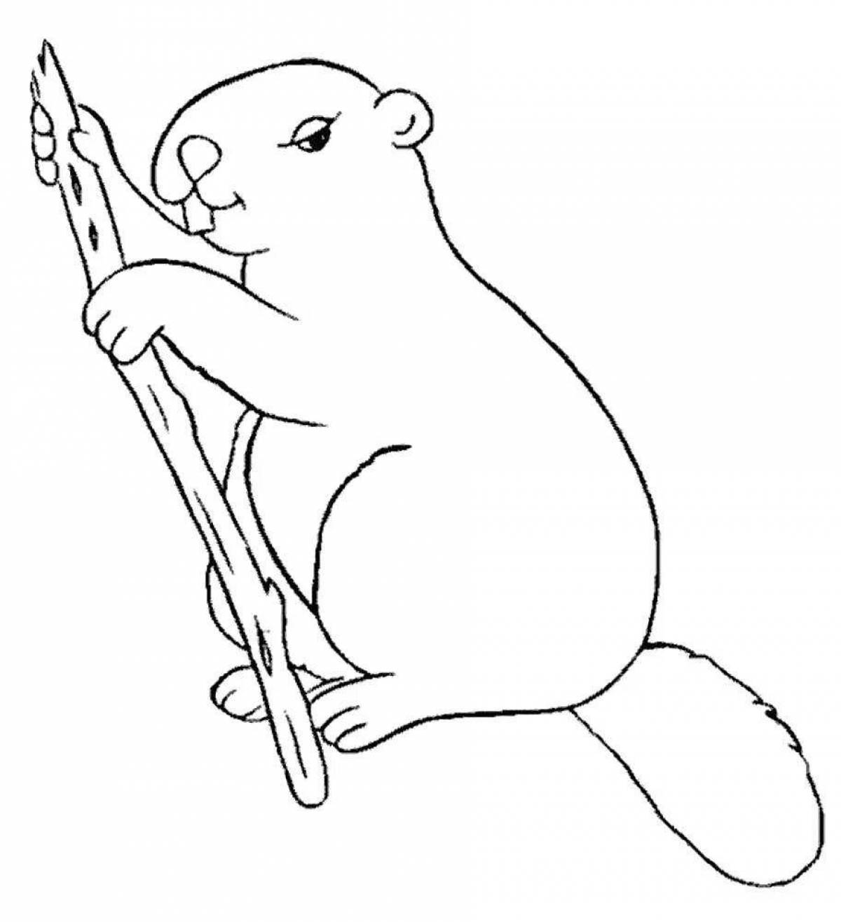 Great beaver coloring book for kids
