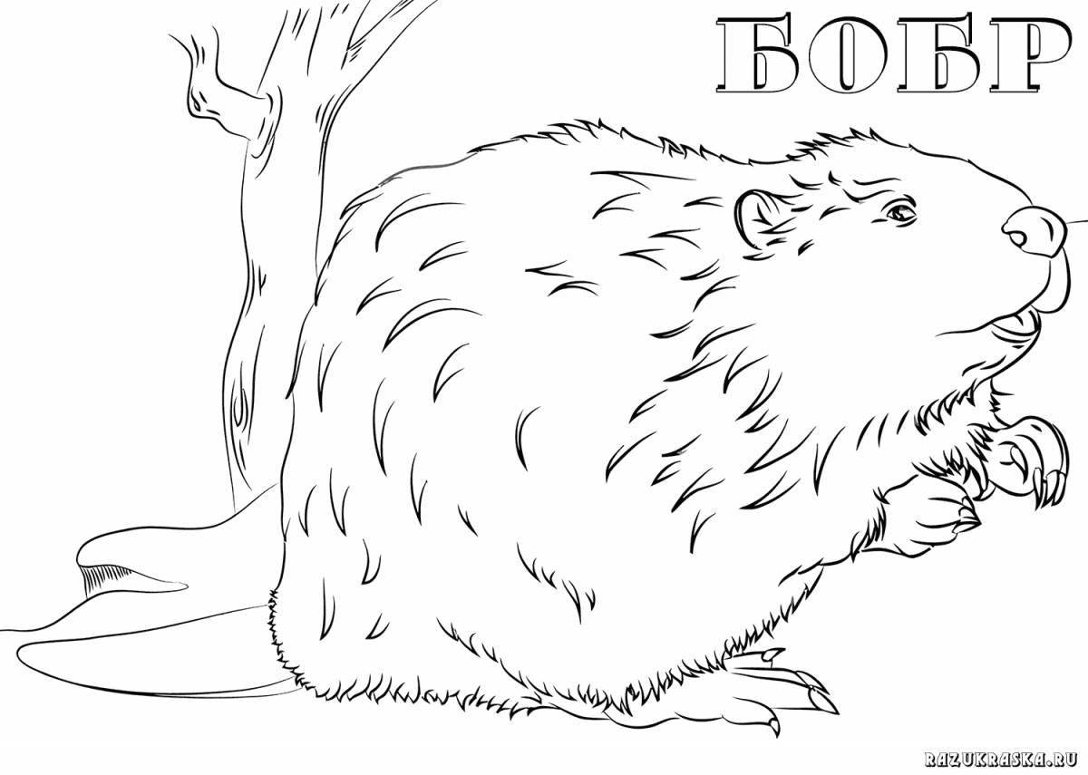 Amazing beaver coloring page for kids