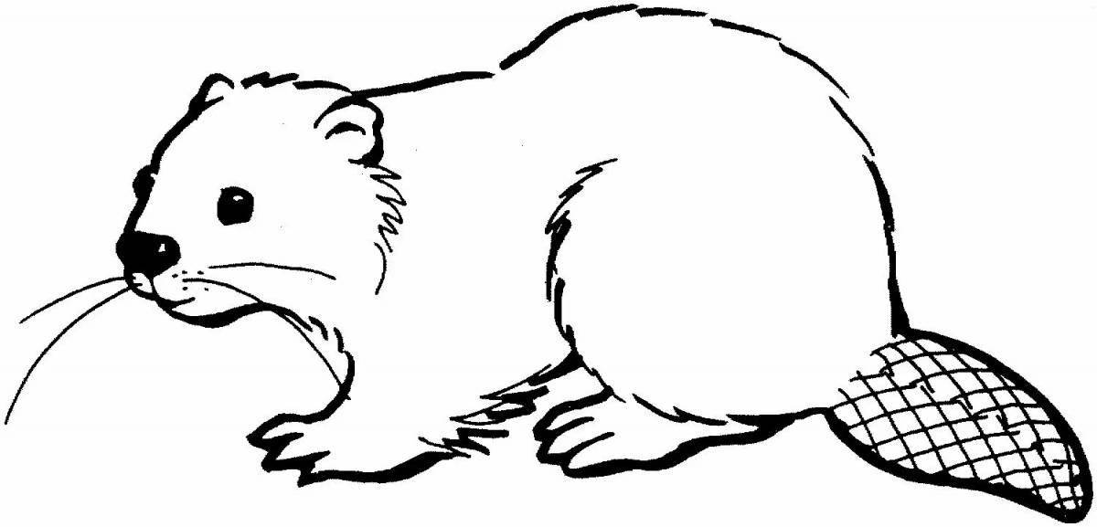 Gorgeous beaver coloring book for kids