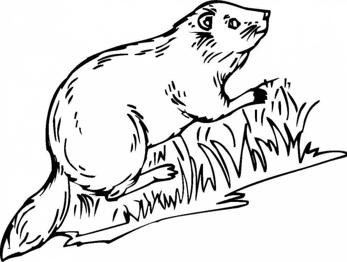 Fun beaver coloring book for kids
