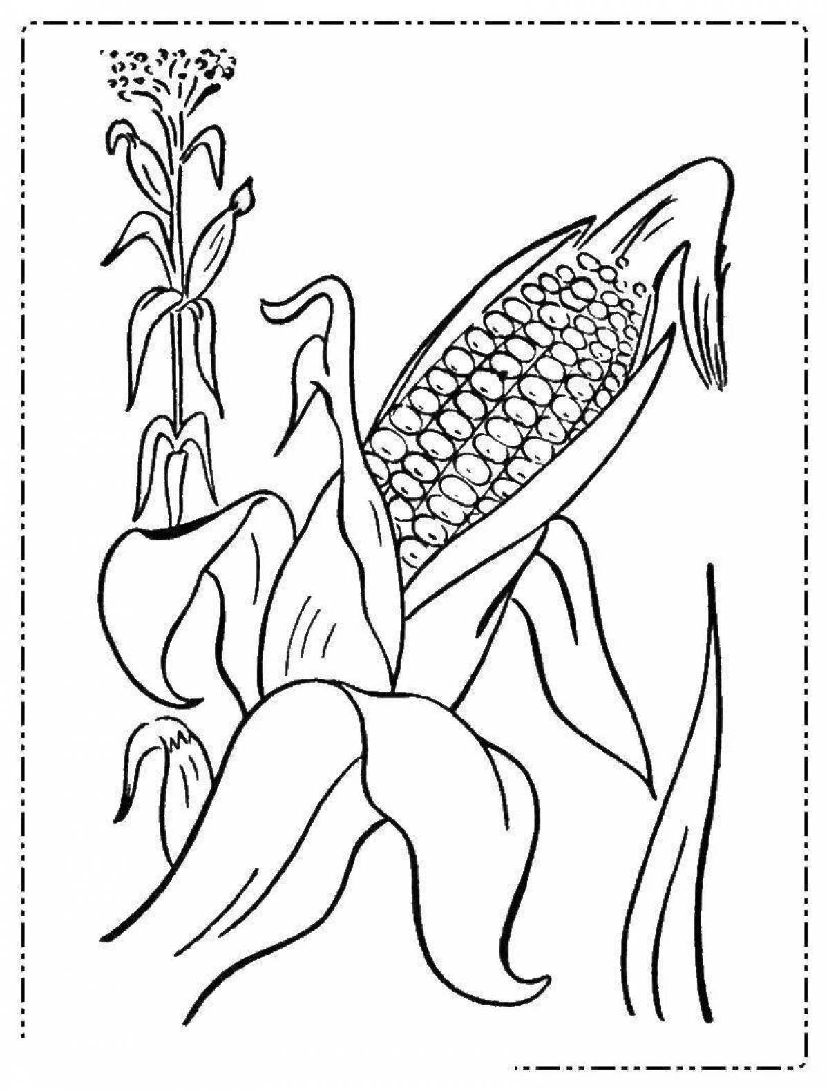 Corn fun coloring for kids