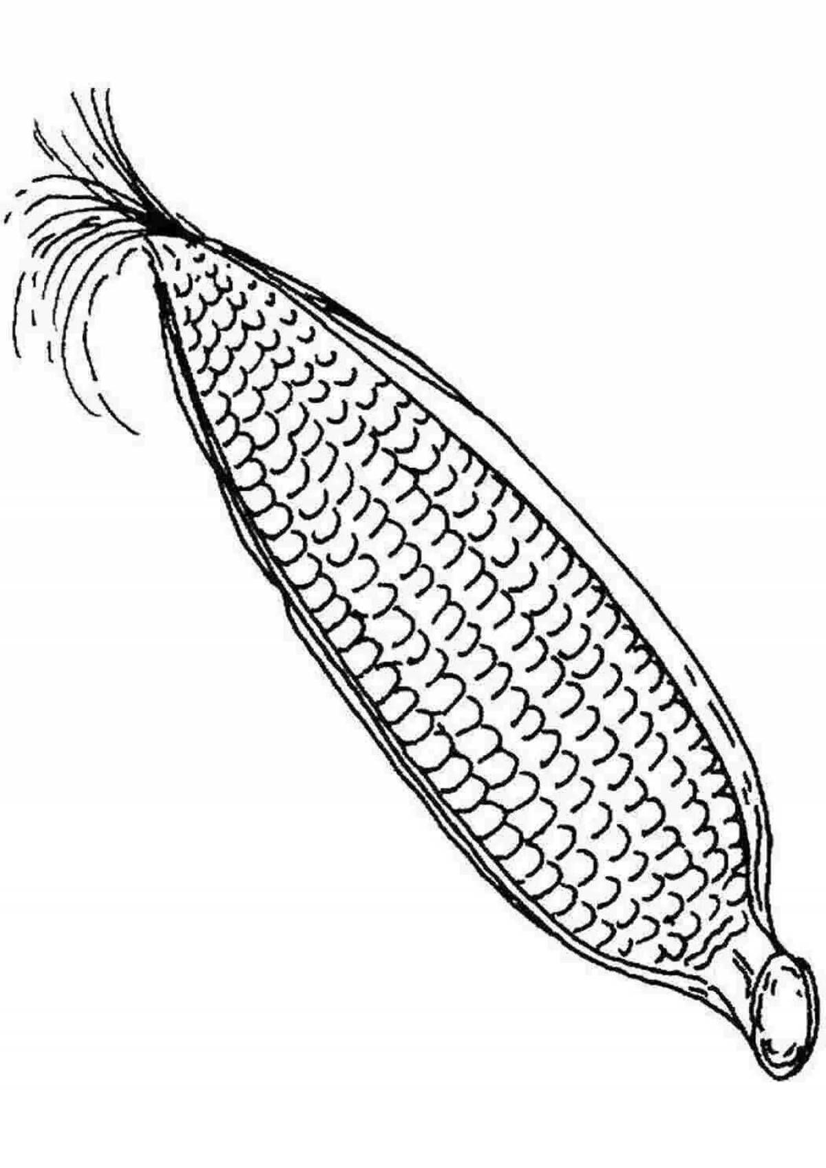 Attractive corn coloring page for kids