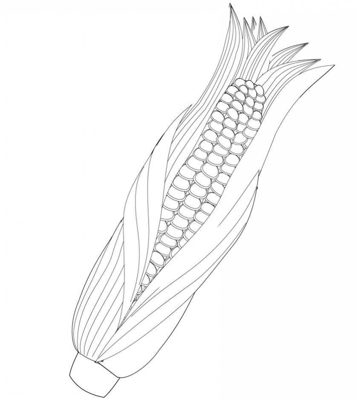 Adorable corn coloring book for kids