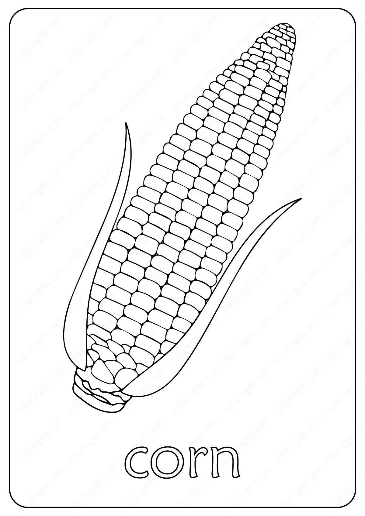 Attractive corn coloring book for kids
