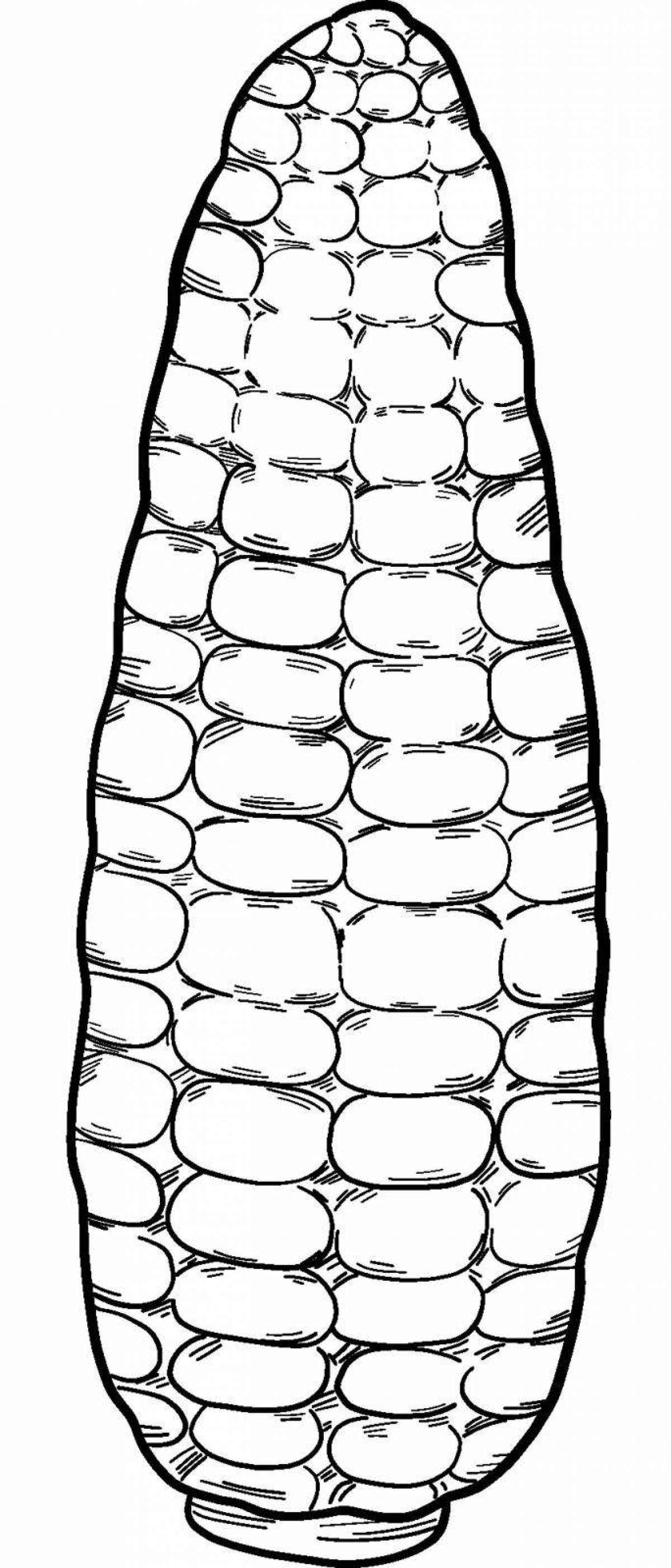 Creative corn coloring book for kids