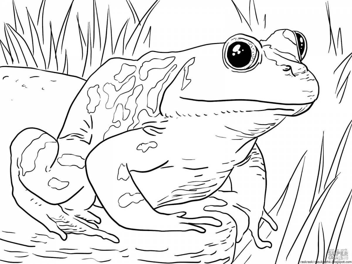 Adorable frog coloring book for kids