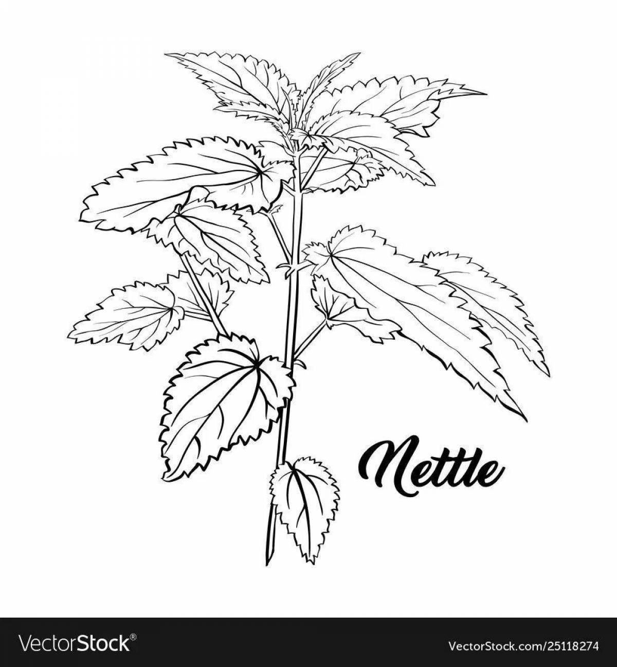 Playful nettle coloring page for toddlers
