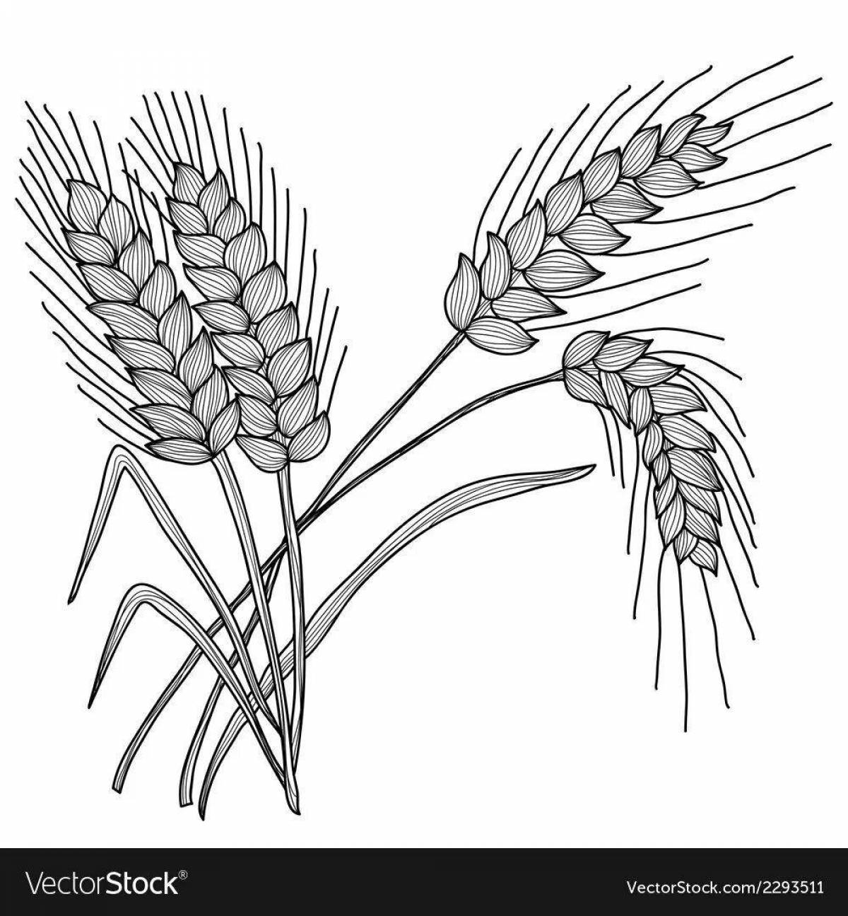 Colourful spikelet coloring for children