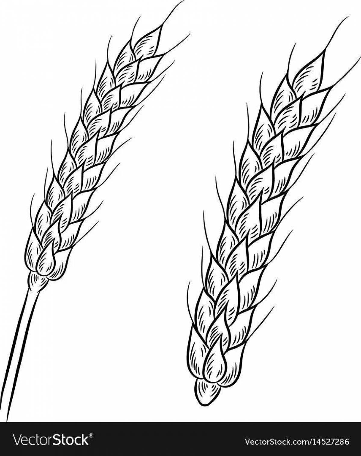 Adorable spikelet coloring for minors