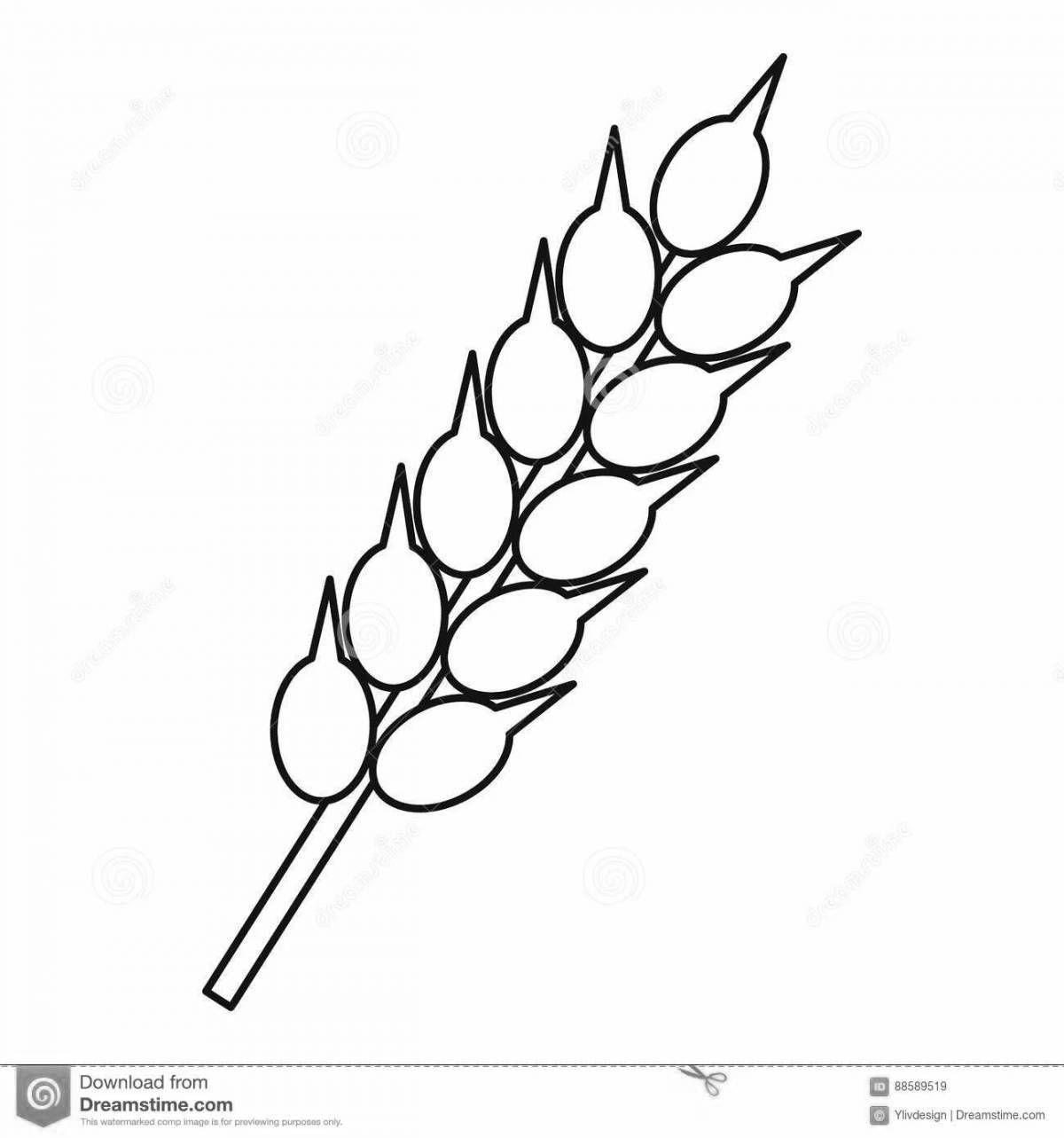 Funny spikelet coloring for kids
