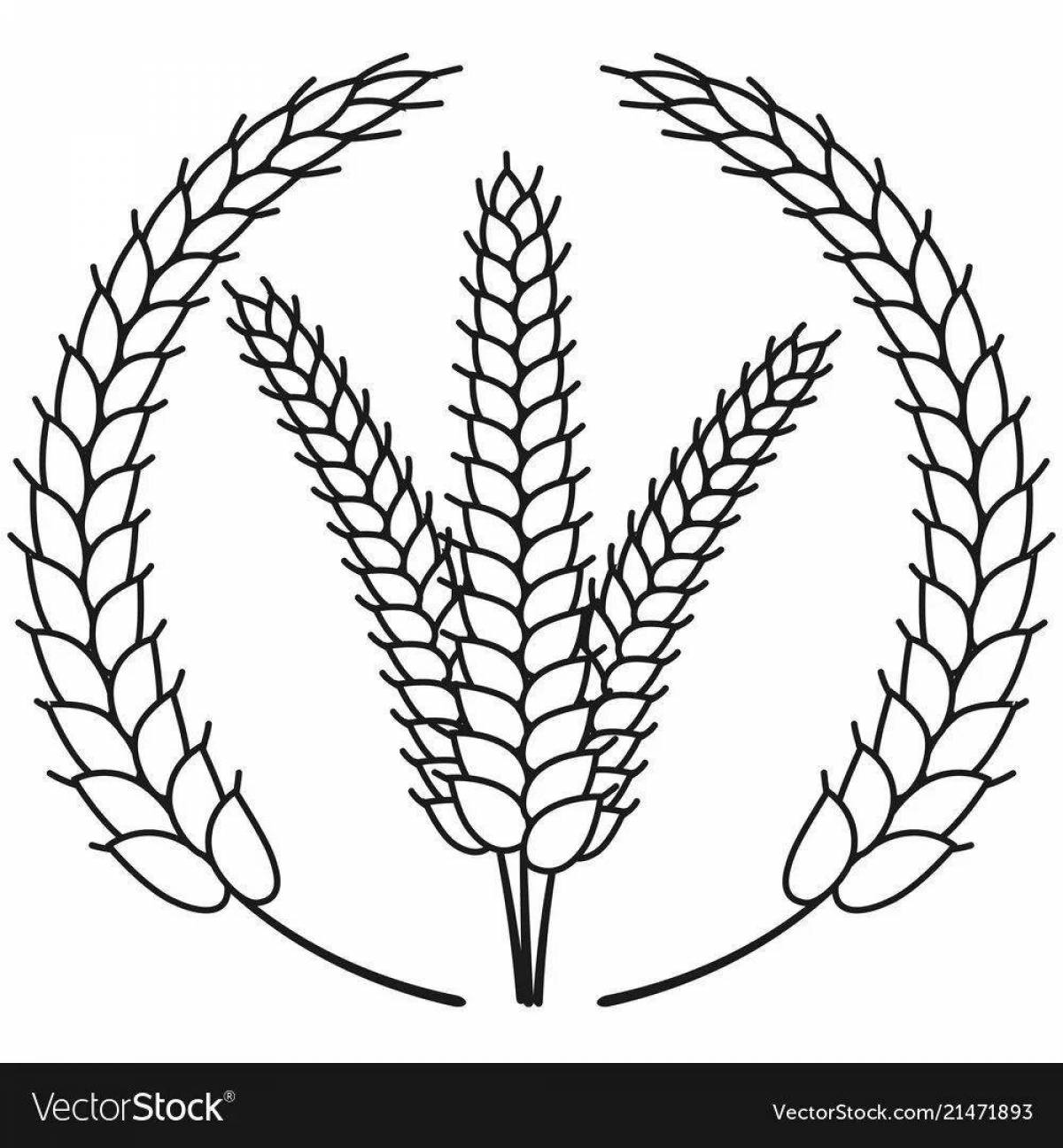 Coloring spikelet for children