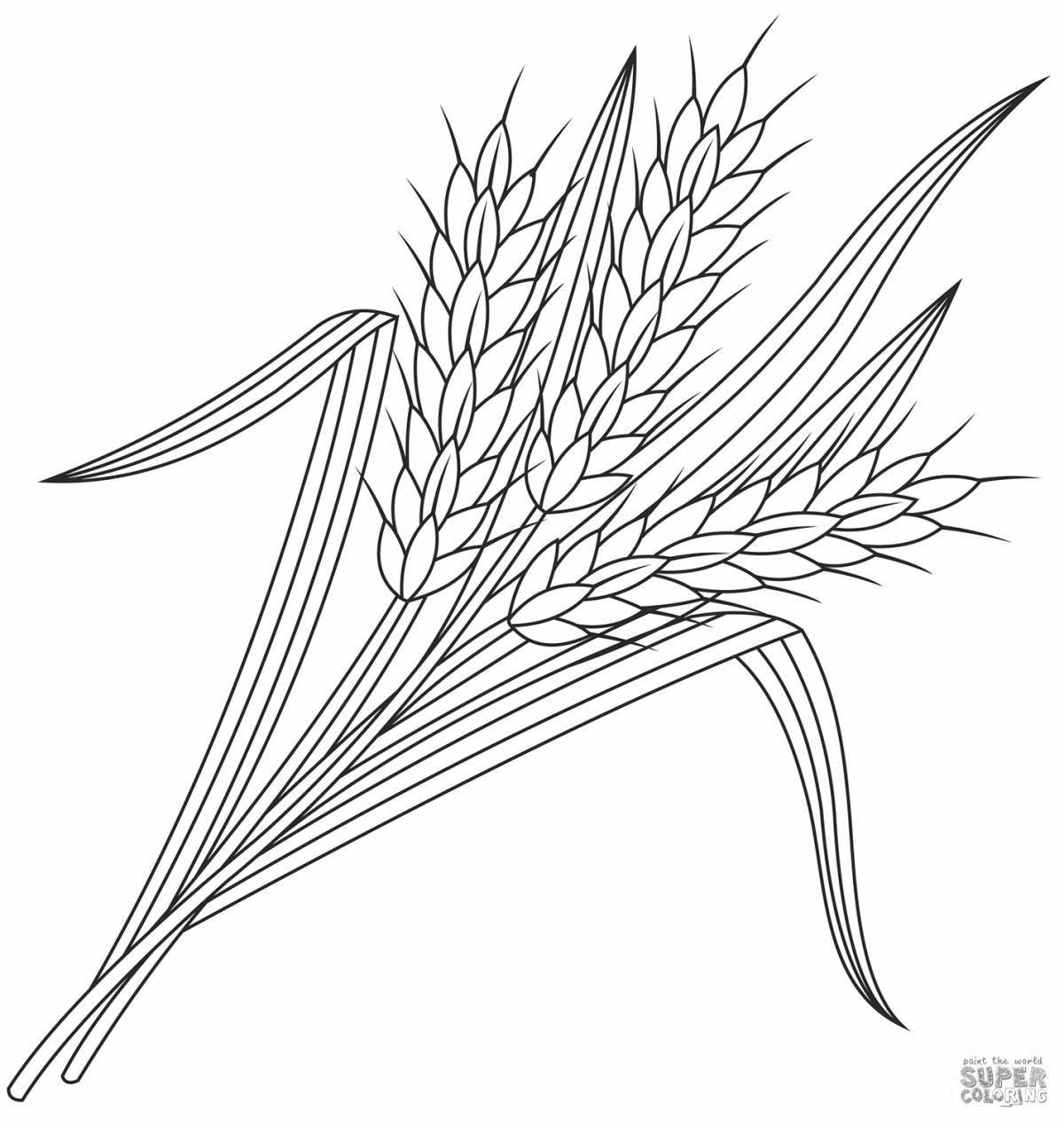 Magic spikelet coloring for kids