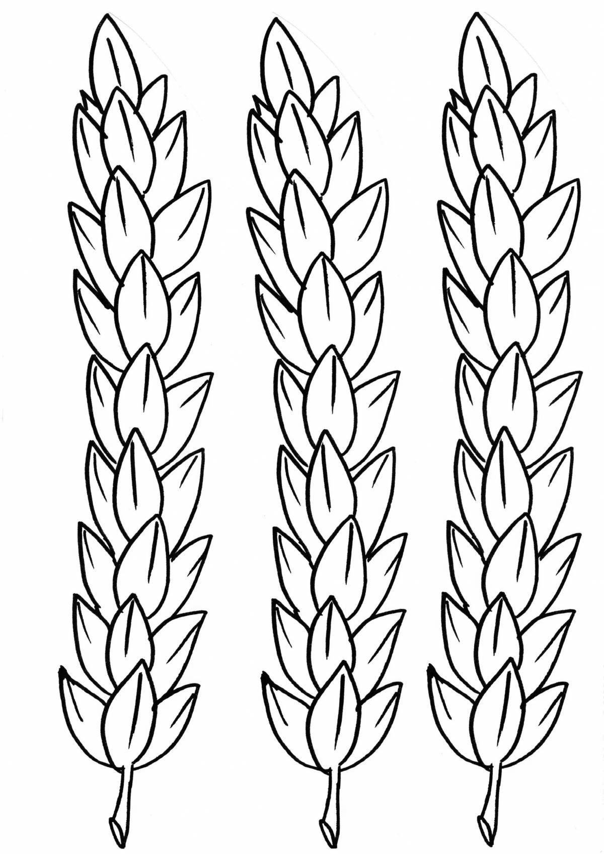 Wonderful spikelet coloring for kids