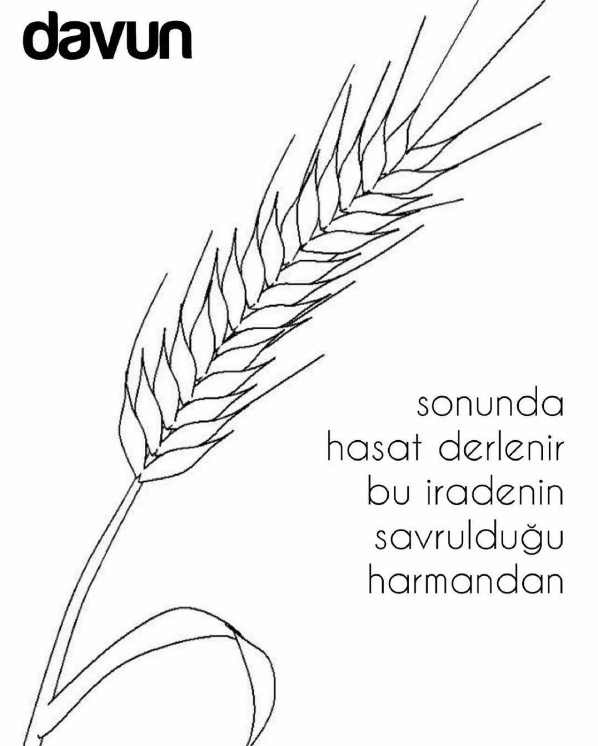 Amazing spikelet coloring book for kids