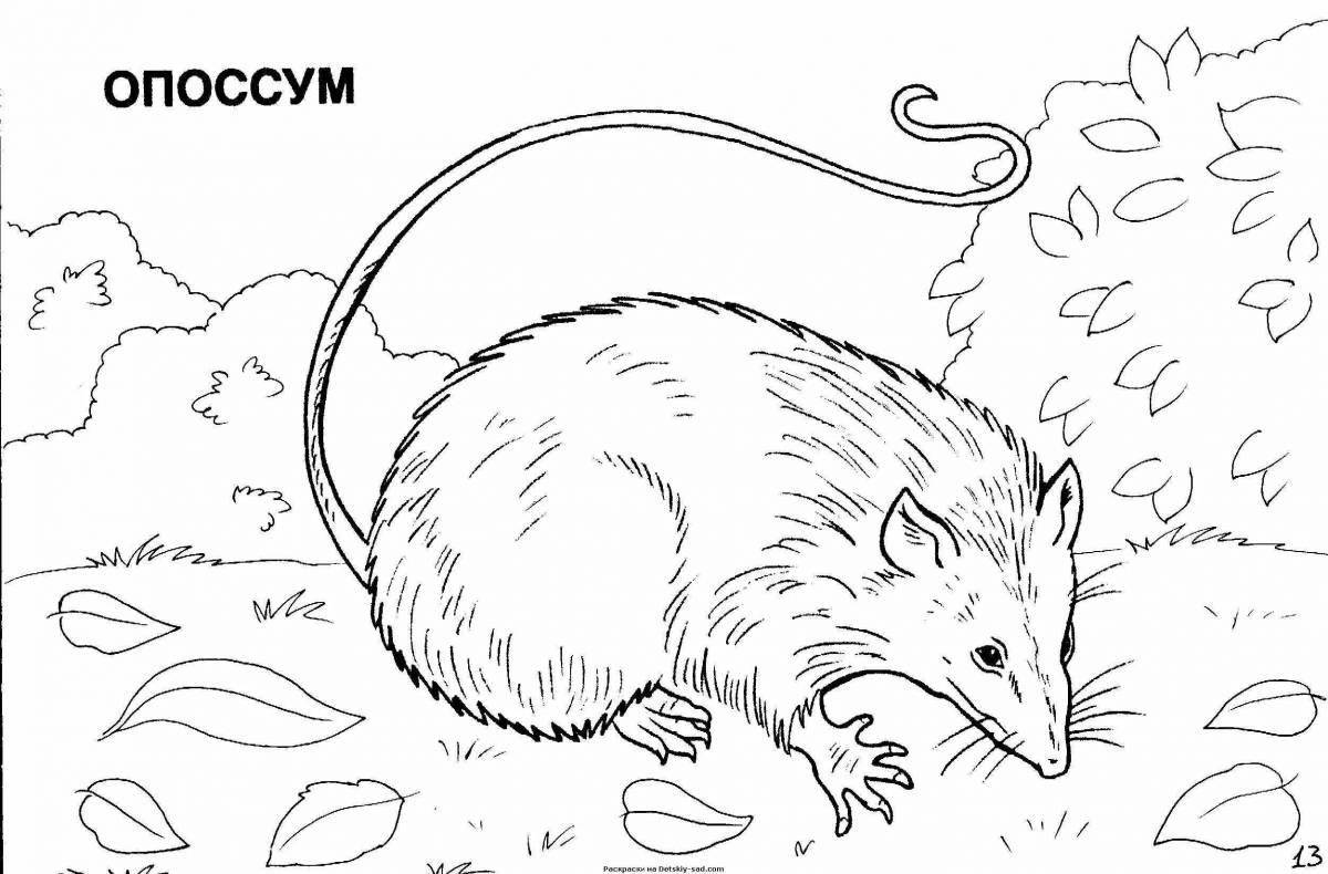 Funny red coloring book for babies