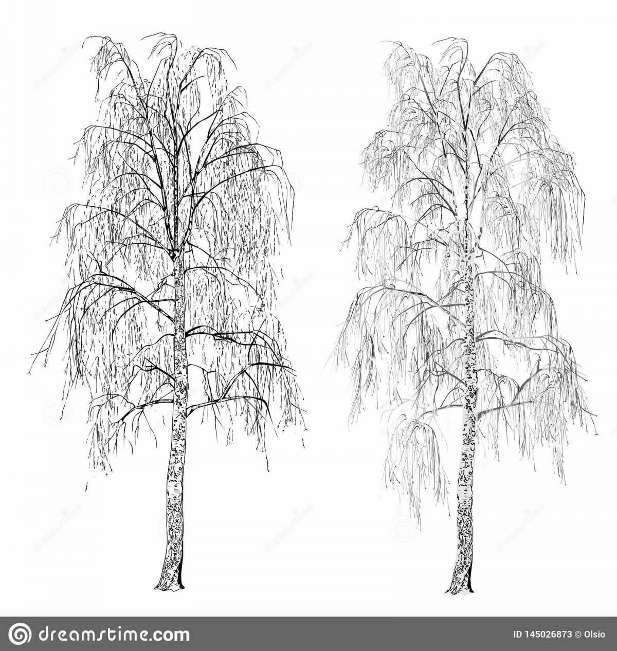 Charming birch tree coloring in winter for kids