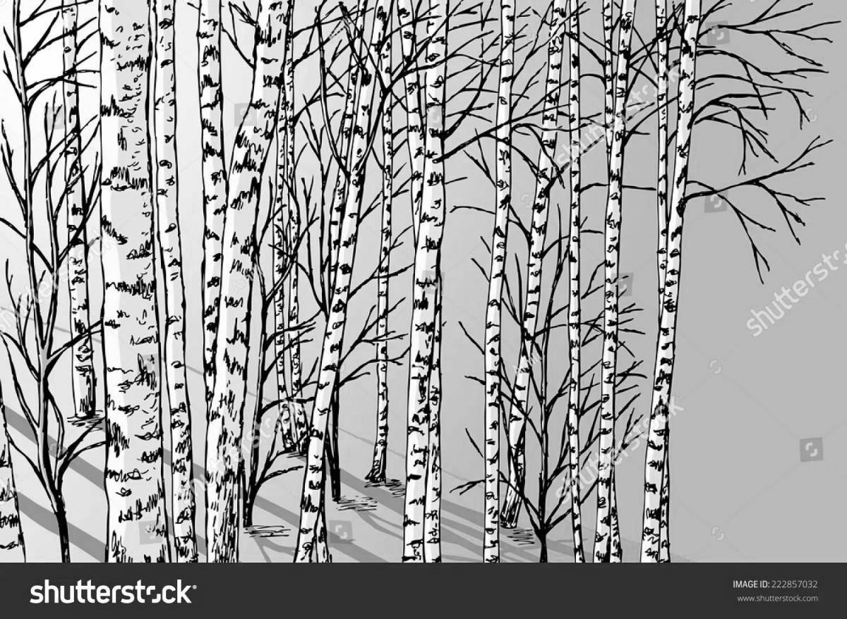 Radiant coloring birch in winter for children