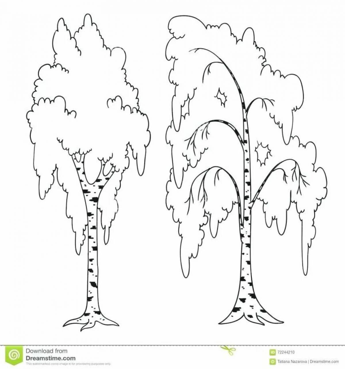 Береза зимой для детей #8