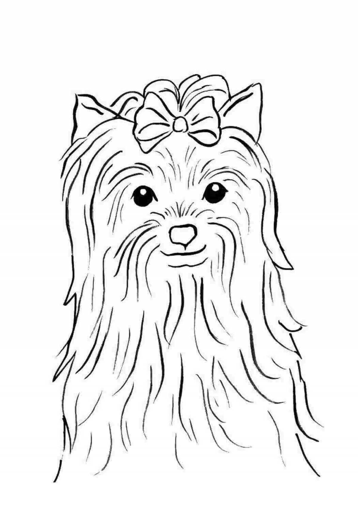 Gorgeous yorkshire terrier coloring book for kids