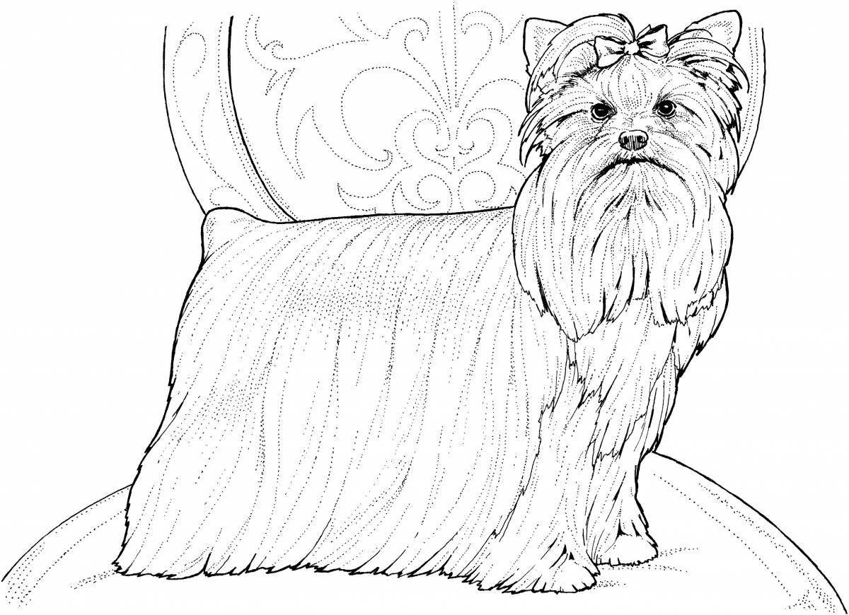 Nice Yorkshire terrier coloring pages for kids