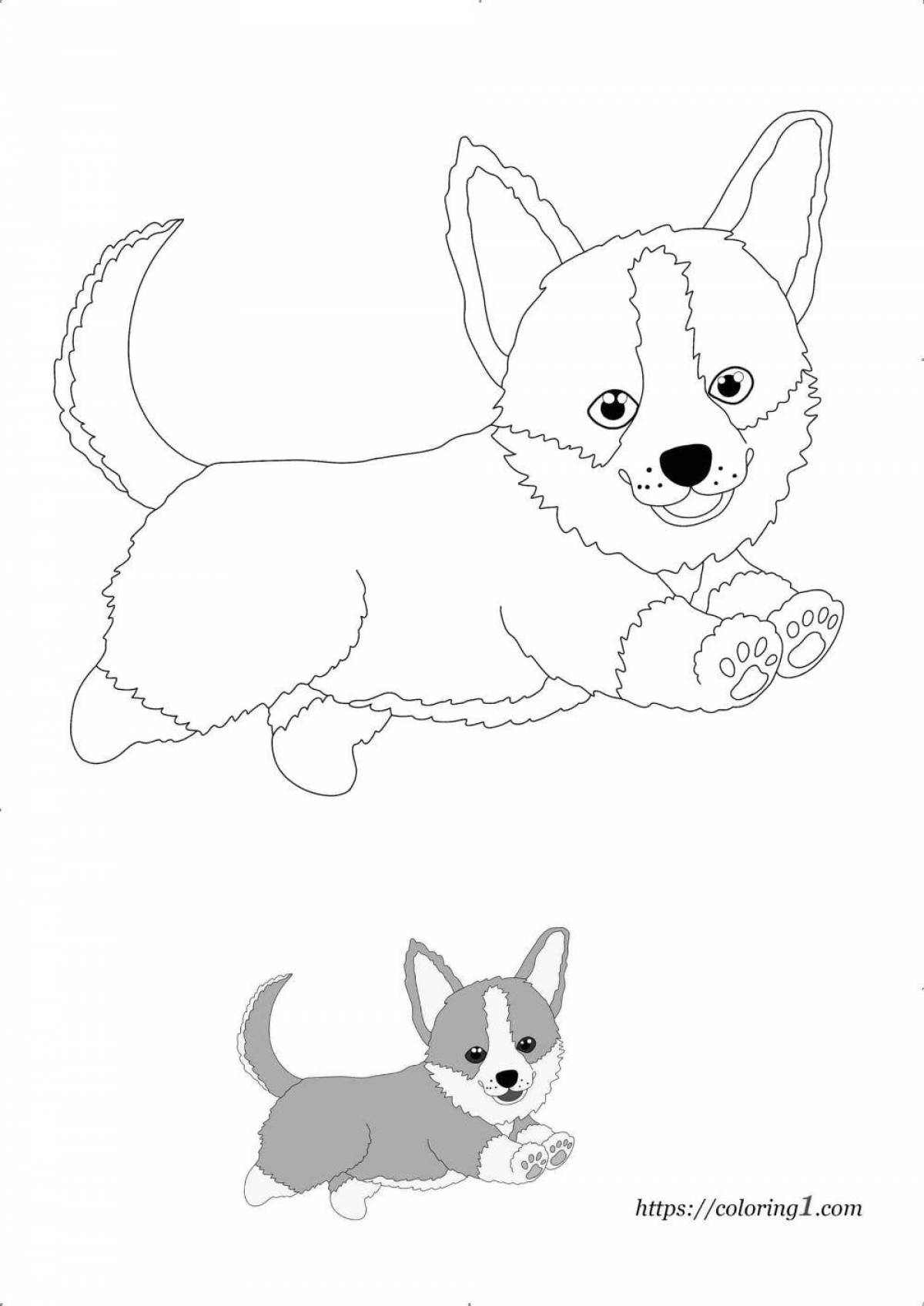 Fun corgi coloring book for kids