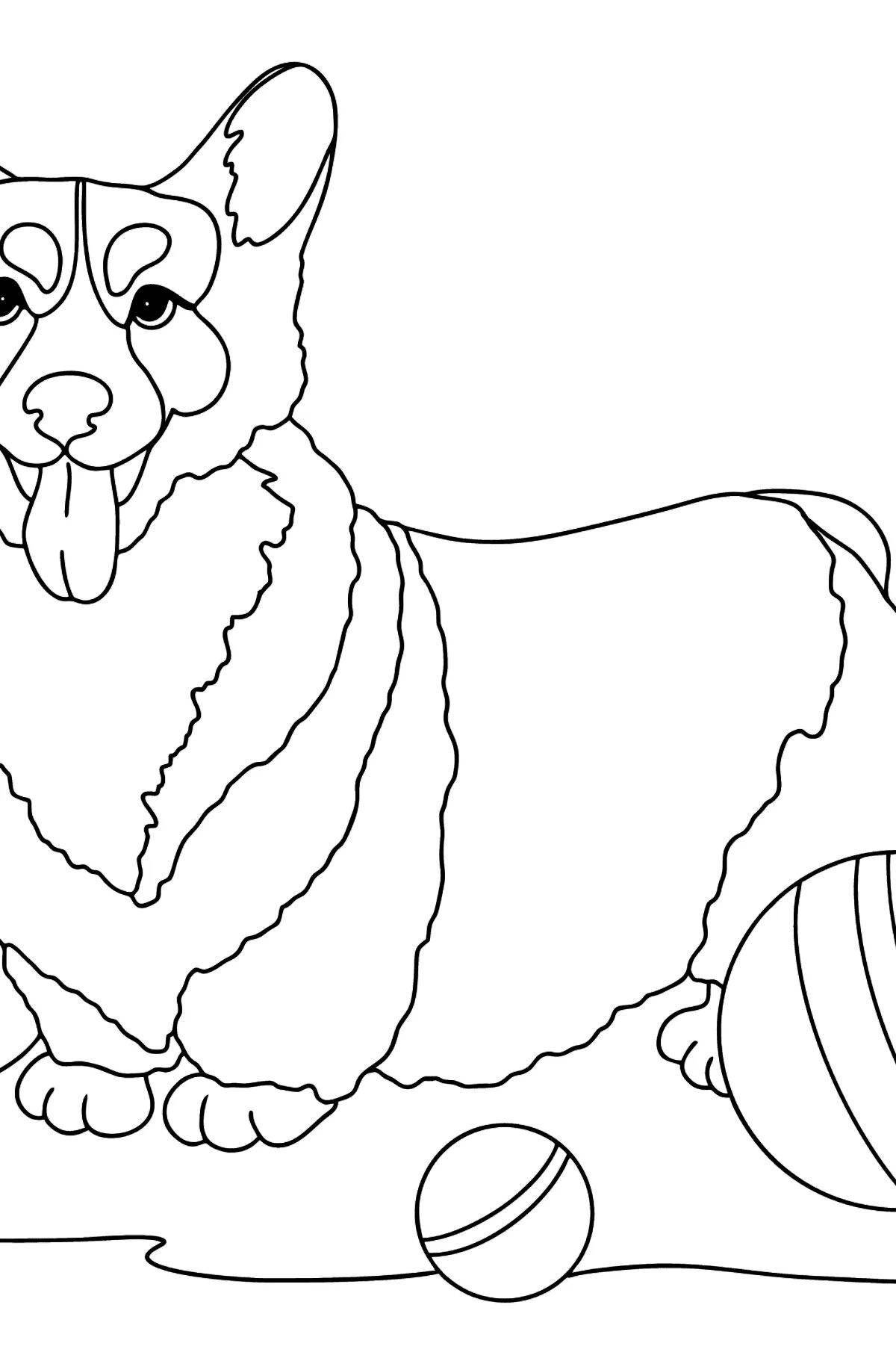 Fancy corgi coloring book for kids