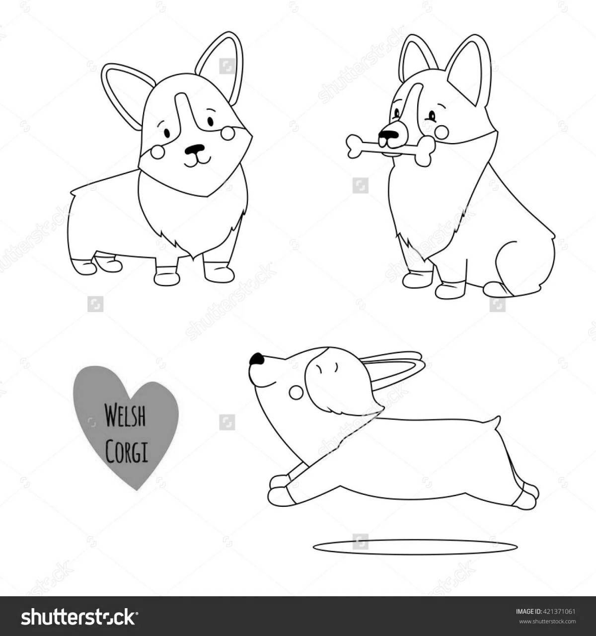 Outstanding corgi coloring page for kids