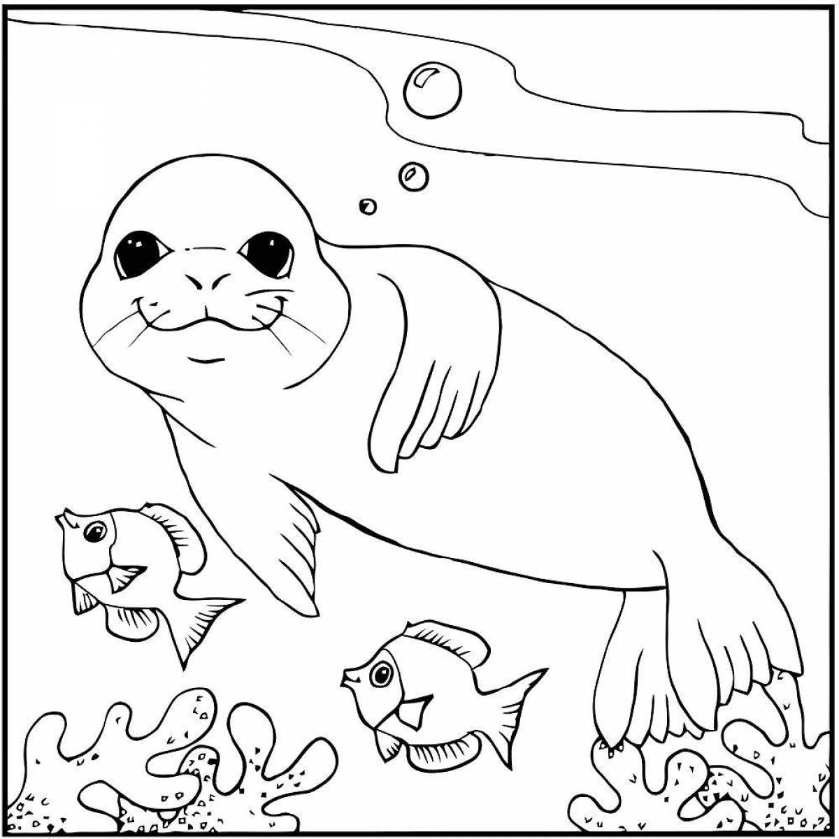 Adorable fur seal coloring for kids