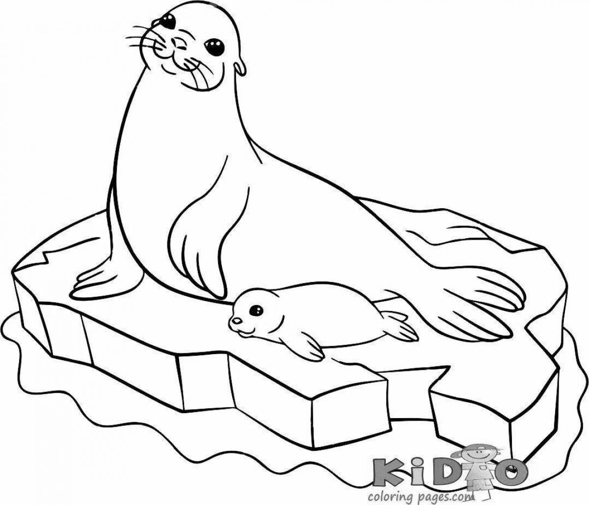 Vibrant fur seal coloring book for kids