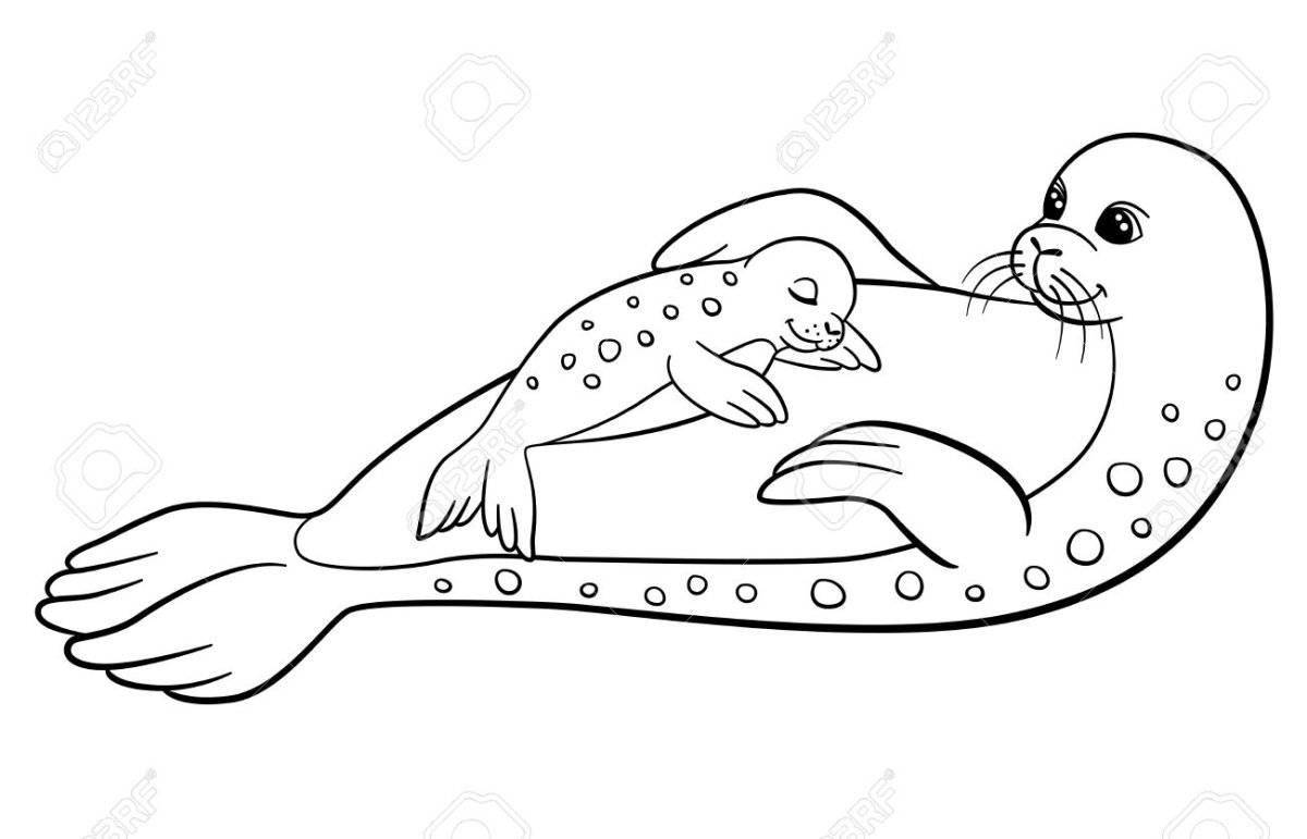 Vibrant fur seal coloring page for kids