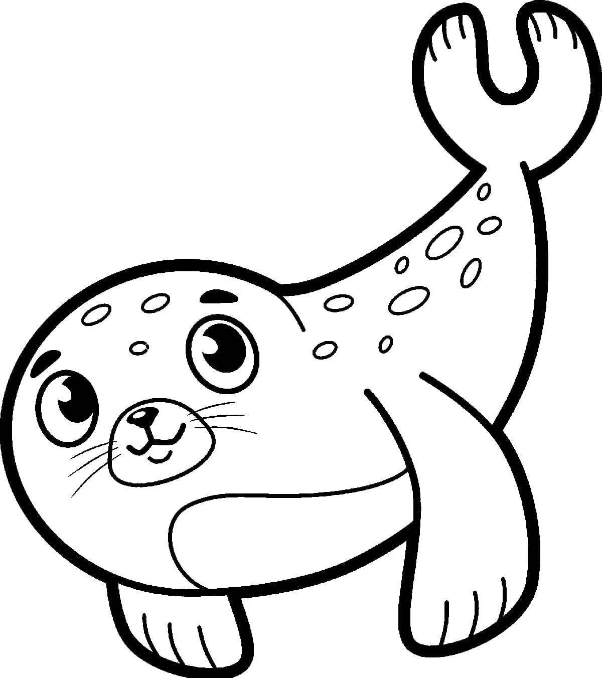 Live fur seal coloring for kids