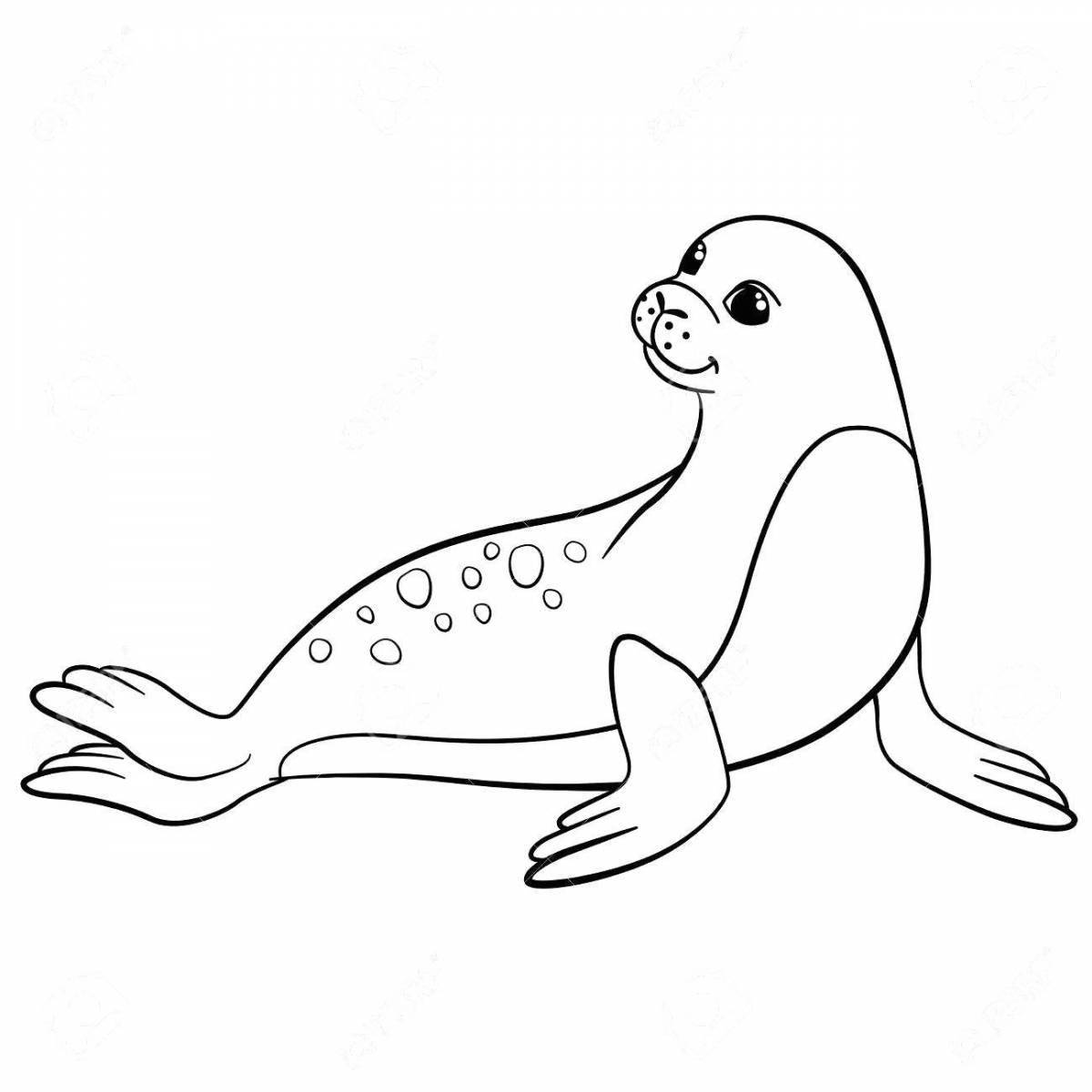 Entertaining fur seal coloring book for kids