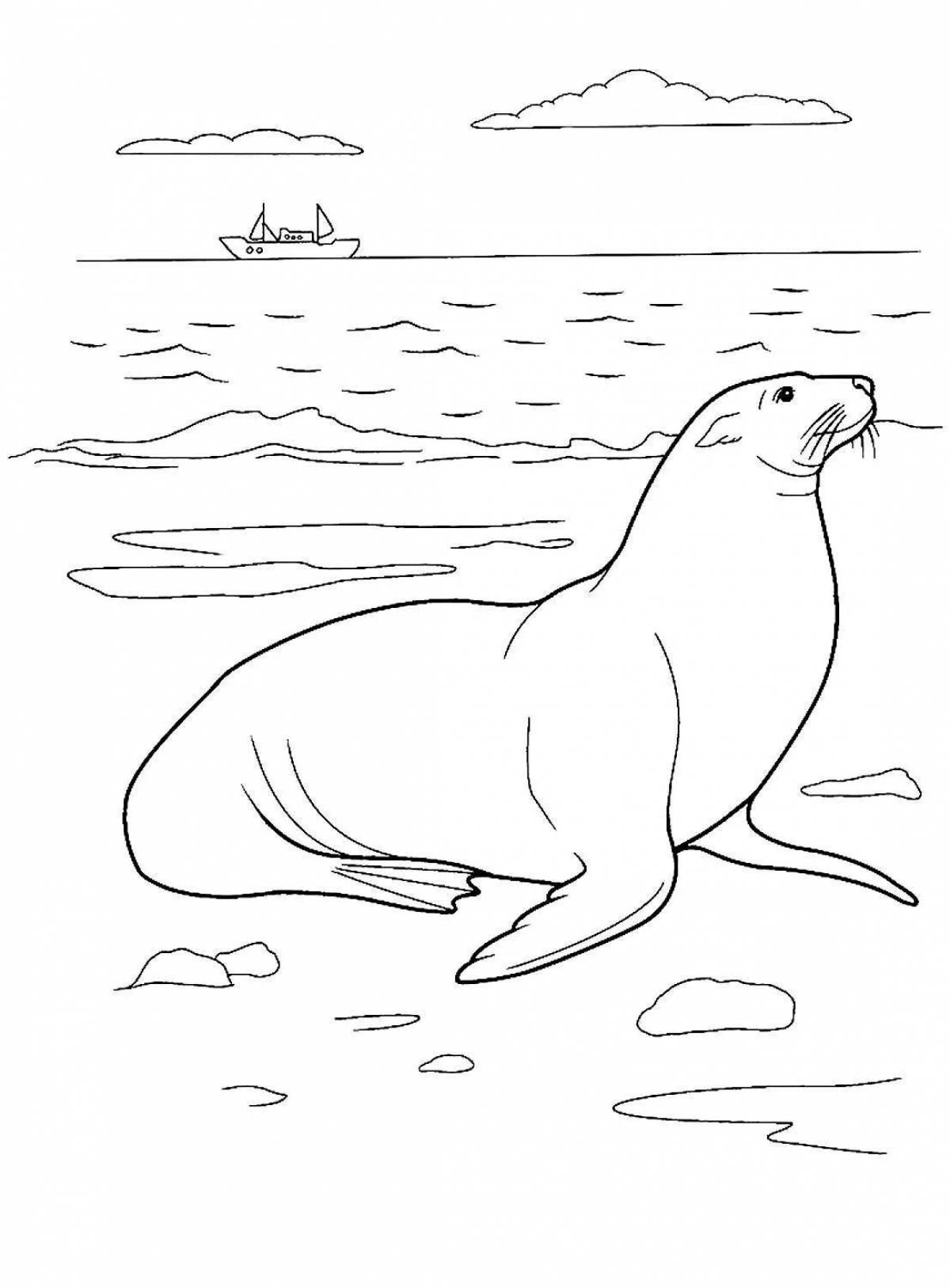 Gorgeous fur seal coloring book for kids