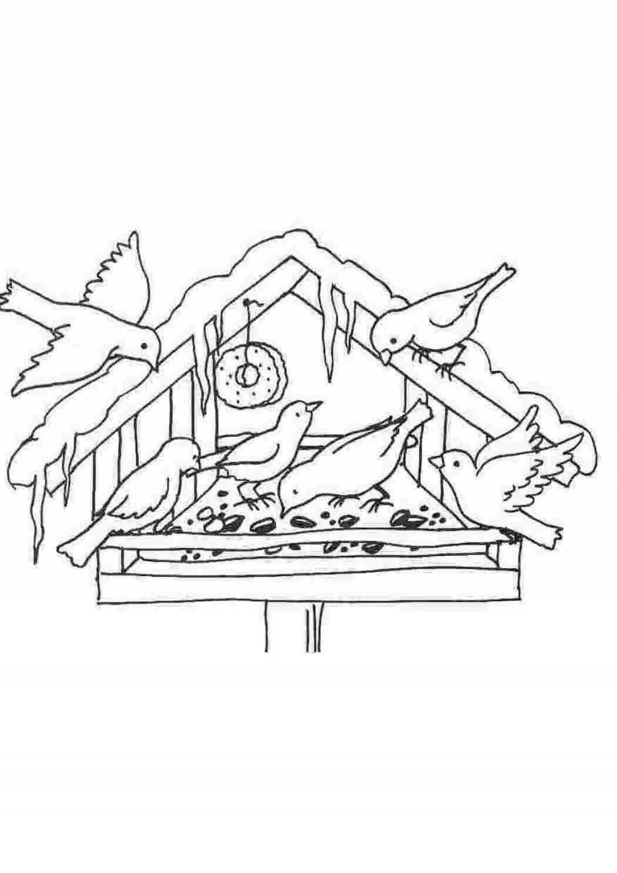 Playful bird feeder coloring page for kids