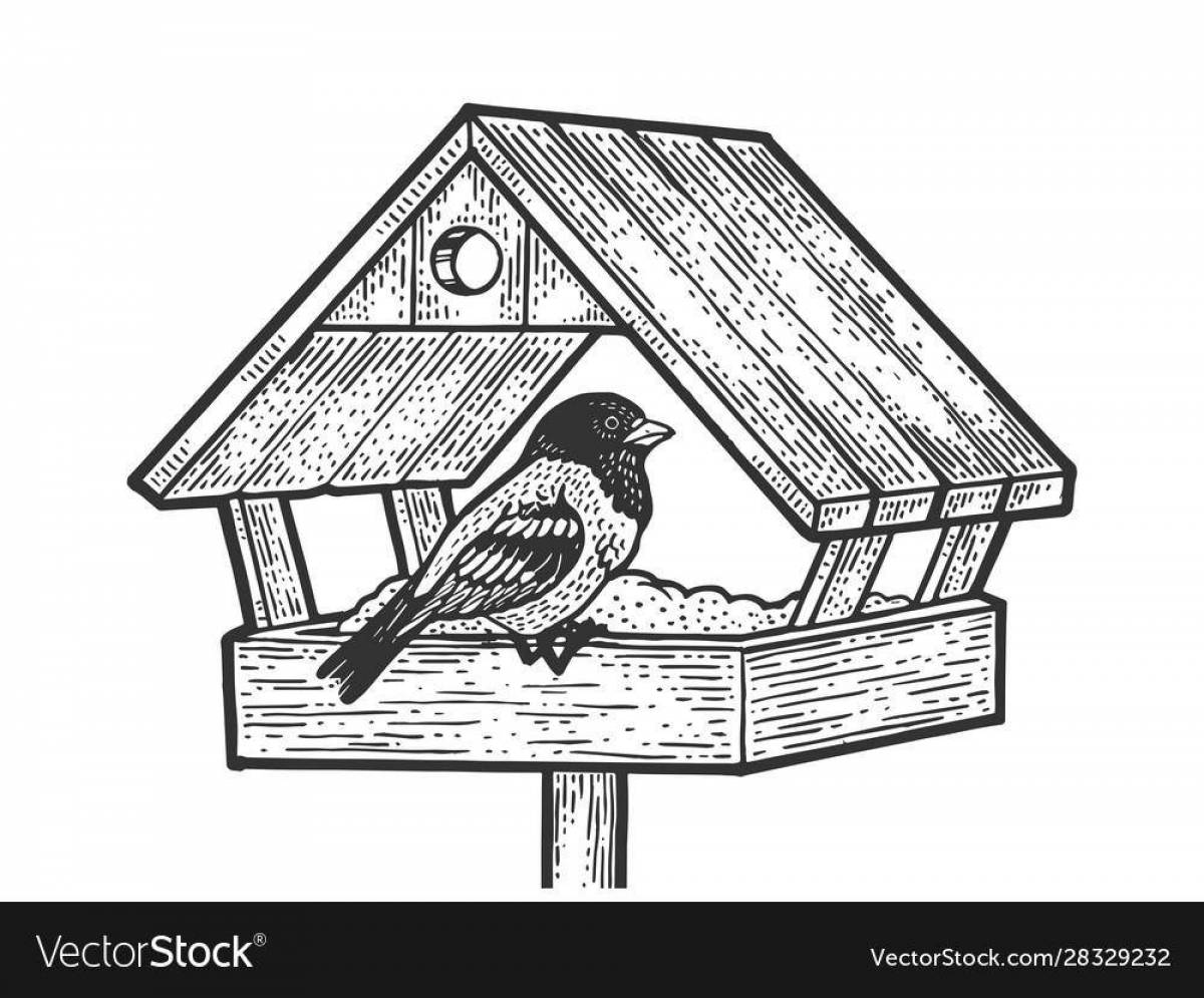 Amazing bird feeder coloring page for kids