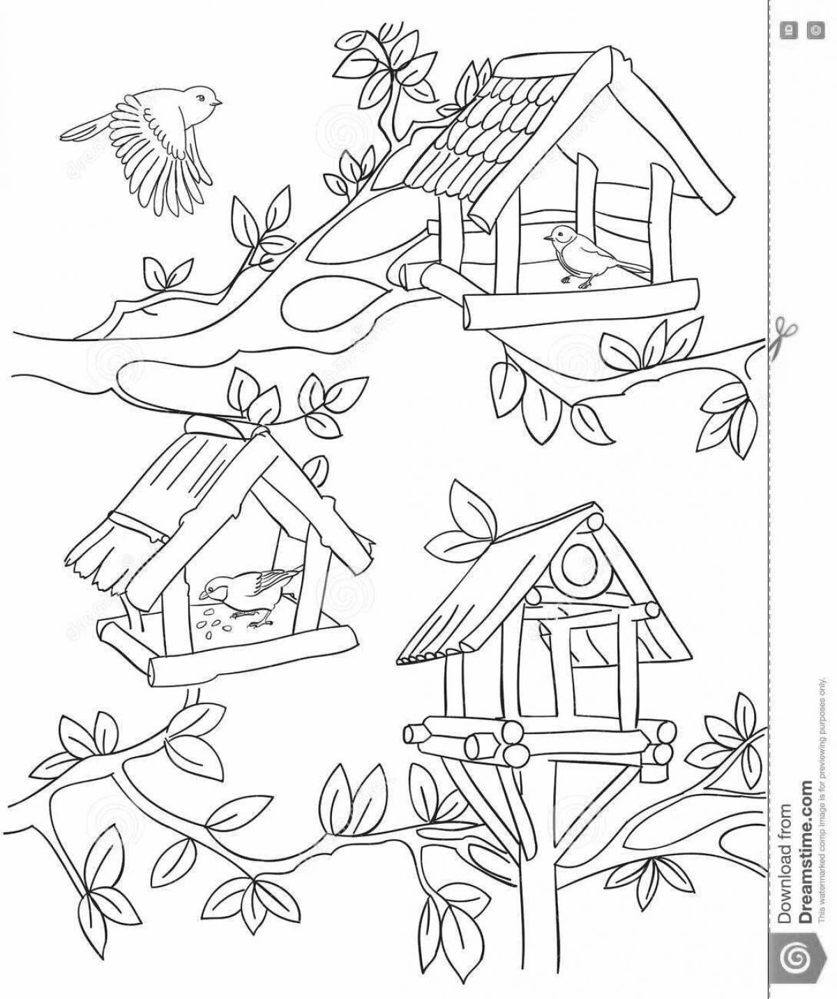 Потрясающая страница раскраски «кормушка для птиц» для детей