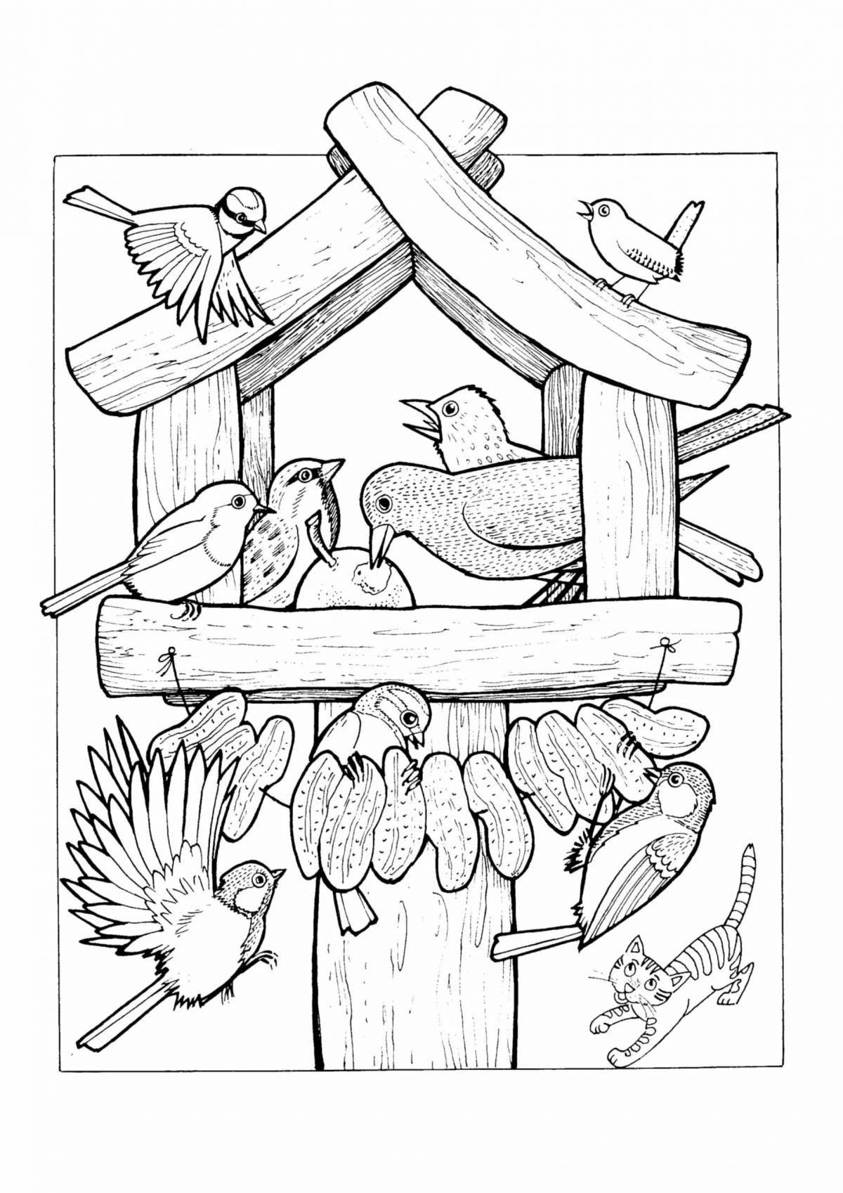 Cute bird feeder coloring pages for kids
