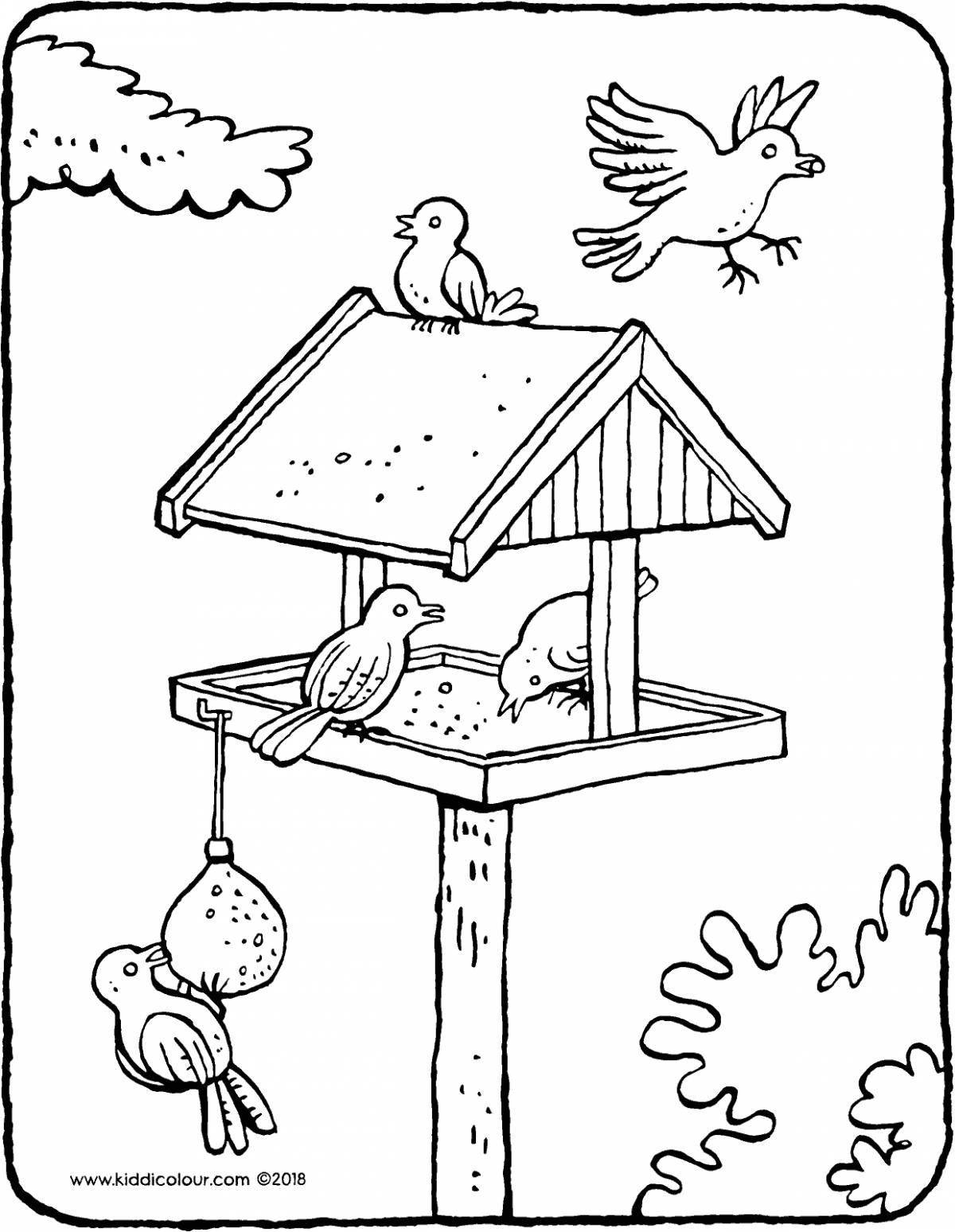 Great bird feeder coloring page for kids