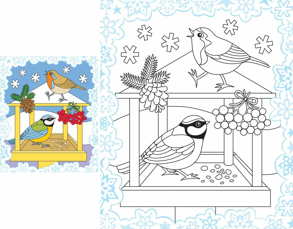 Стильная раскраска кормушка для птиц для детей