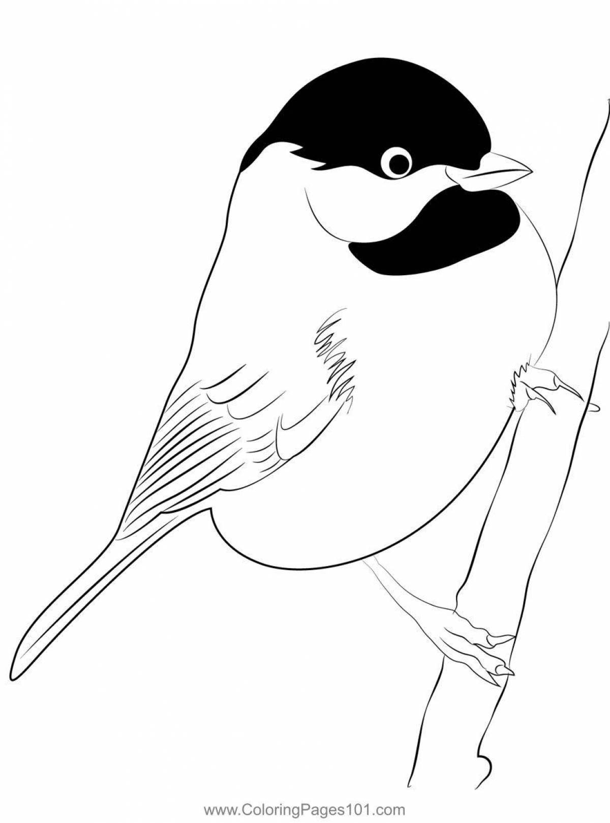 Coloring book happy titmouse for children 6-7 years old